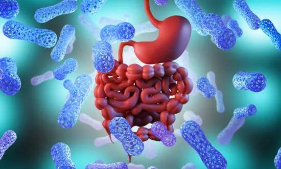 Study: Replacing Lost Bacteria Alleviates Long COVID