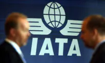 Airline Profitability Strengthens This Year Despite Economic Slowdown