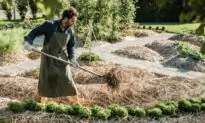 Using Straw to Prevent Weeds in the Garden