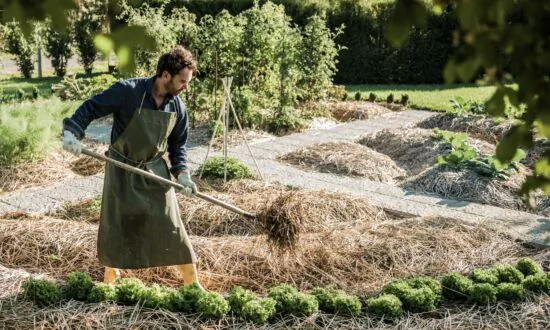 Using Straw to Prevent Weeds in the Garden
