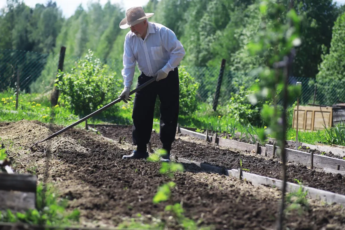 Growing and maintaining a healthy garden and lawn shouldn't have to be expensive. (alexkich/Shutterstock)