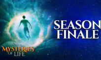 PREMIERING 6/10 9:15PM ET: The Season Finale: ‘Life Review’ | Mysteries of Life (S1, E12)
