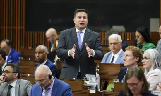 ‘Unmitigated Gall’: Senator Rejects Minister’s Call to Pass Liberals’ Gun Bill Quickly