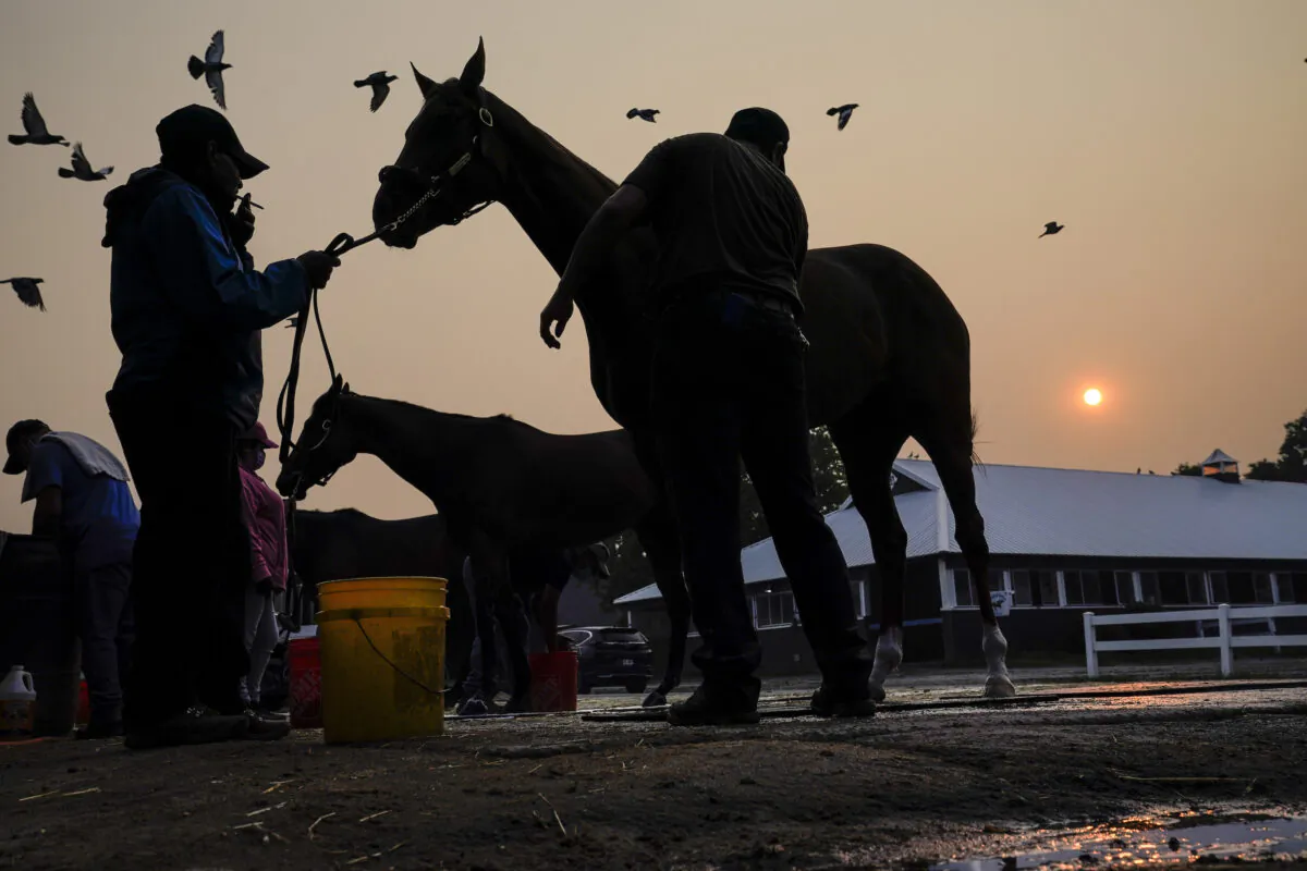 The sun is obscured by haze caused by northern wildfires as horses are bathed ahead of the Belmont Stakes horse race in Elmont, N.Y., on June 8, 2023. (John Minchillo/AP Photo)