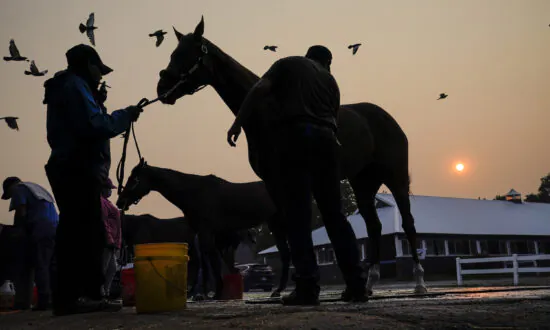 3-Year-Old Filly Injured in Stakes Race at Saratoga Is Euthanized and Jockey Gets Thrown Off