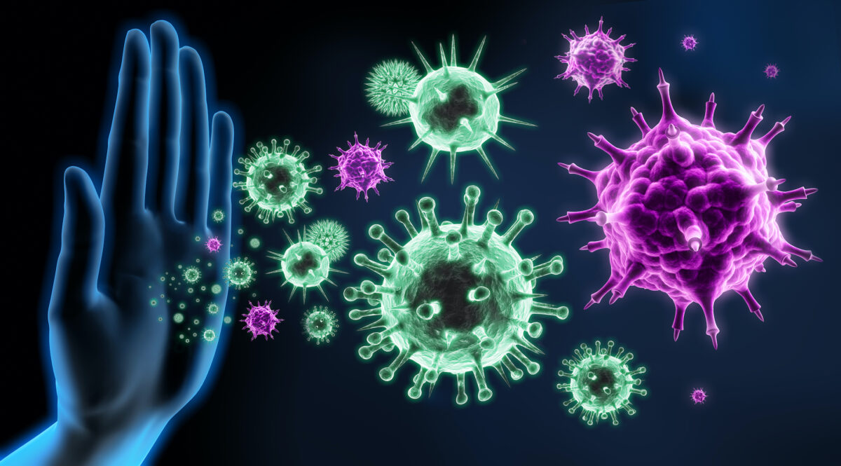 The Miraculous Immune System: A Masterpiece of Design and Resilience for Lifelong Health