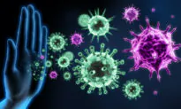 The Miraculous Immune System: A Masterpiece of Design and Resilience for Lifelong Health