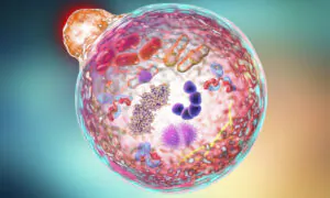 Fasting: A Game Changer for Spike Protein Injuries, Potentially Combats Alzheimer’s and Cancer