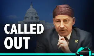 ‘Almost Everything You Stated There Was Factually Incorrect’: Witness to Rep. Raskin at House Election Integrity Hearing