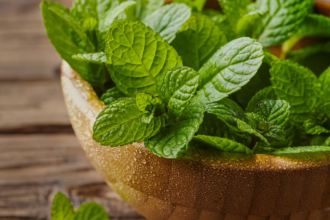 Peppermint: First Aid for Nausea, Headache, Constipation, and More