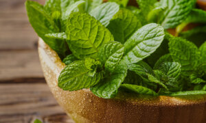 Peppermint: First Aid for Nausea, Headache, Constipation, and More