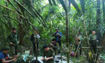 4 Colombian Children Found Alive in Jungle Weeks After Plane Crash