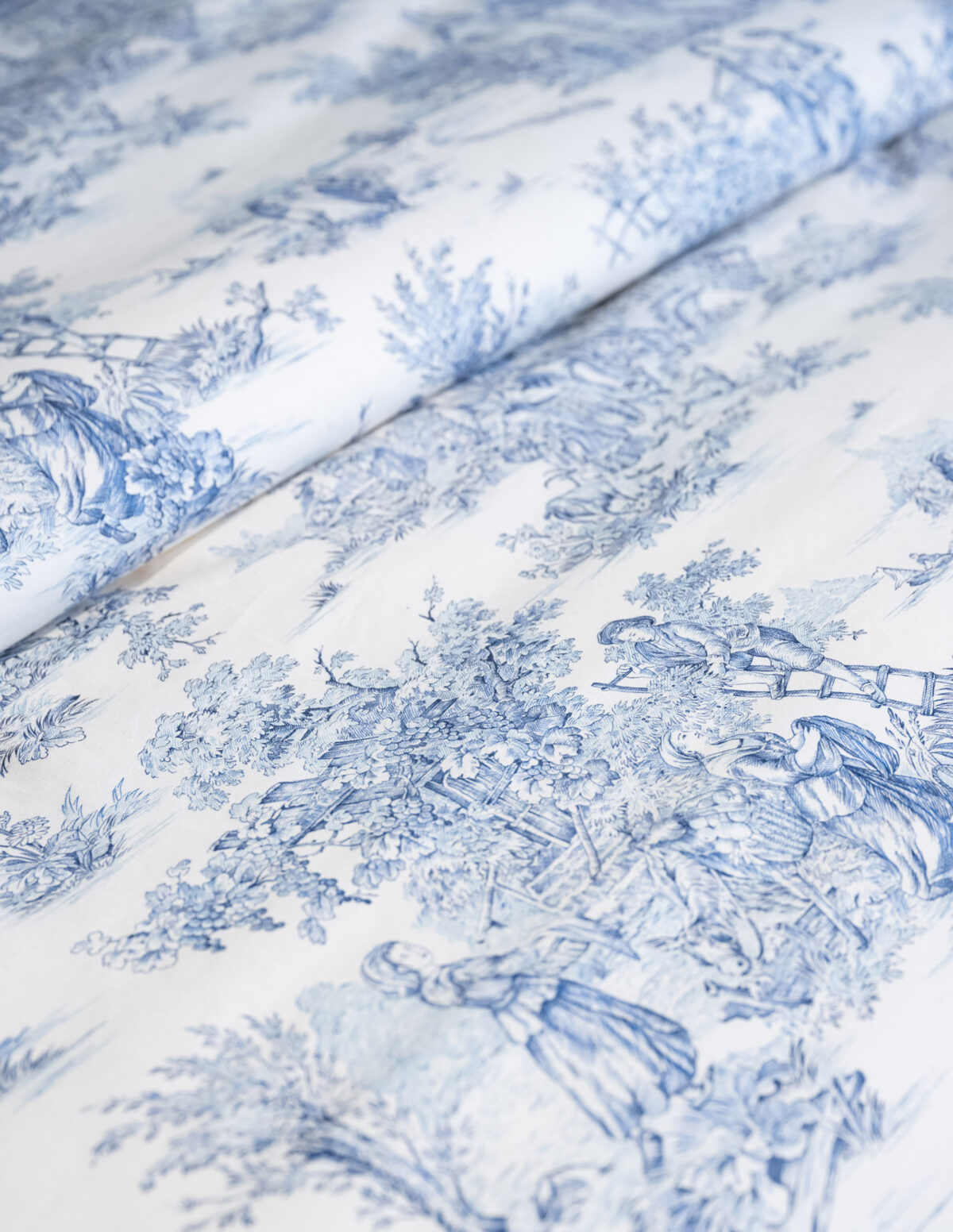 Unveiling the Versatility of Toile