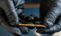 12,000-Year-Old Tiny Bone Flutes Found in Israel That Imitate Predatory Birds