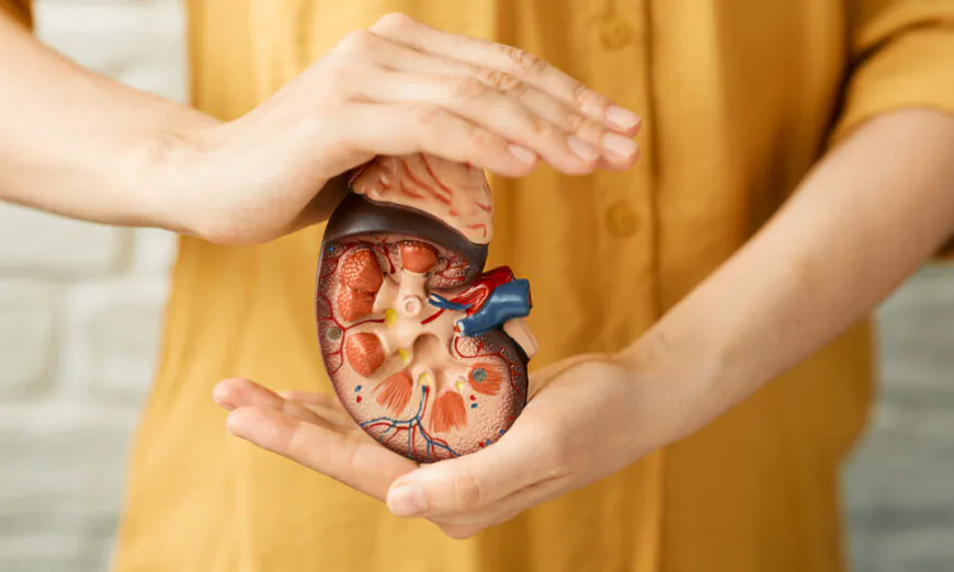 Eat Miso the Right Way to Reap Kidney Health and AntiAging Benefits