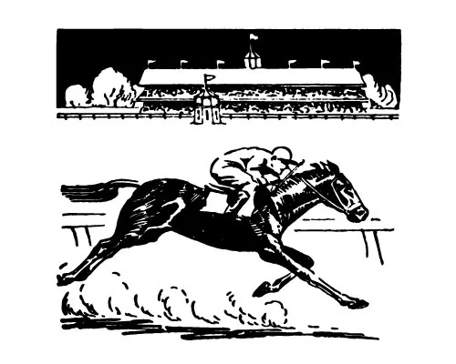 Don’t bet the farm on one horse, and don’t have more than 10 percent of your net worth wrapped up in single stocks.(RetroClipArt/Shutterstock)
