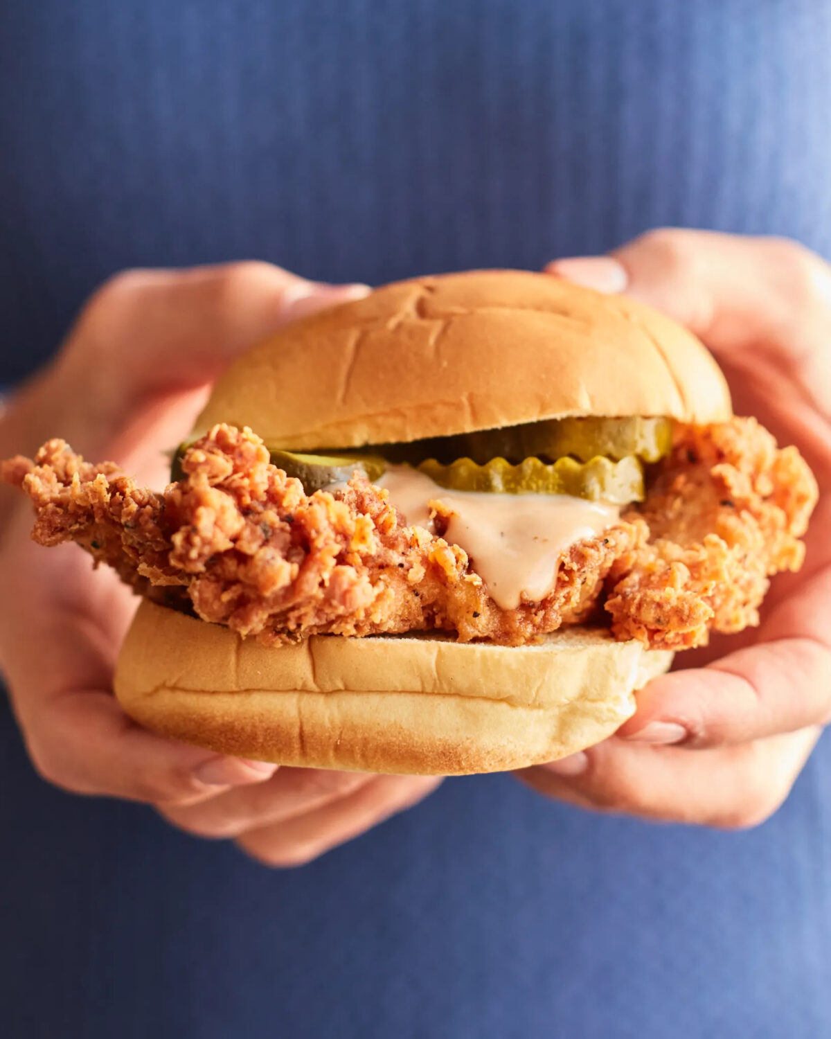 NextImg:Fried Chicken Sandwiches