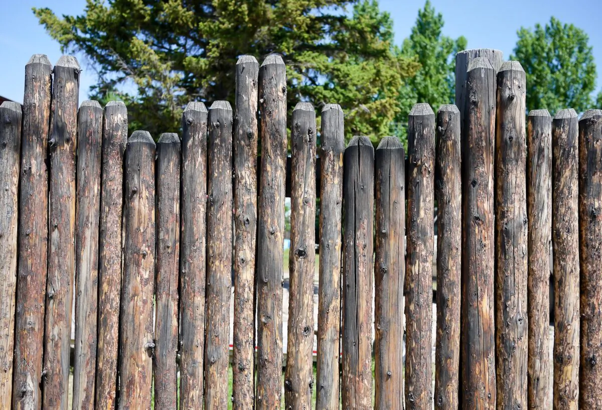You'll find fence sections 6 feet high by 8 feet wide sold at home and lawn and garden centers. (Dreamstime/TNS)