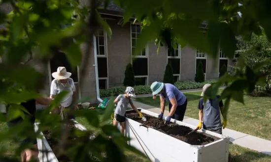 ‘Part of Something Bigger:’ Kids Help at Community Garden, Raise Money for Food Bank