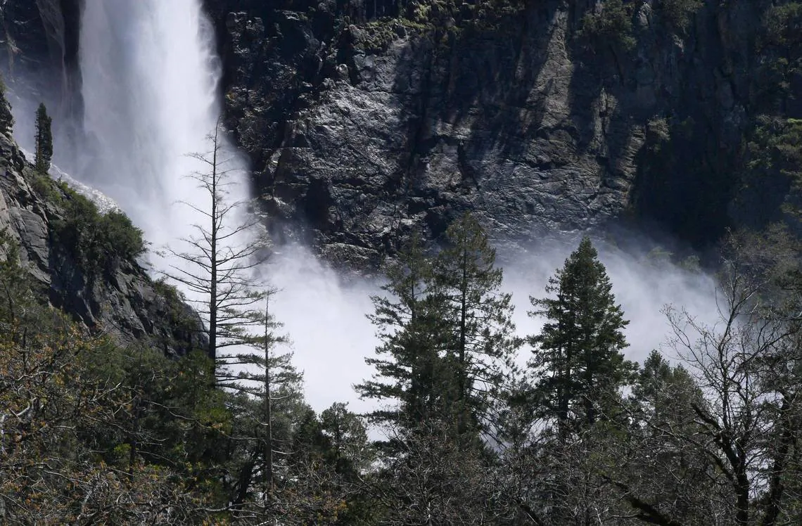 Bridalveil Fall's mist is seen through the trees Friday, April 28, 2023, in Yosemite Valley. Warmer weather is melting the snow which feeds the waterfalls and rivers. (Eric Paul Zamora/The Fresno Bee/TNS)