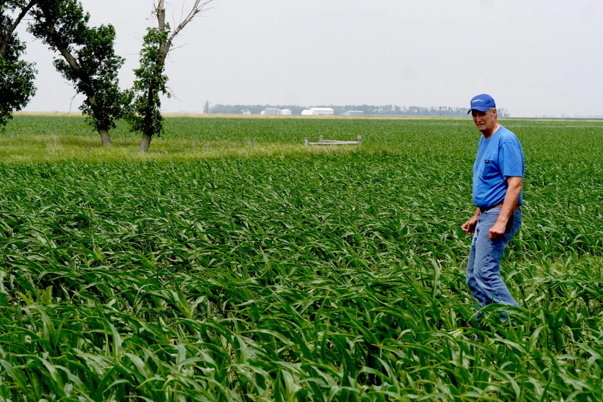 Fourth-generation South Dakota farmer Ed Fischbach is leading the charge against a five-state carbon capture pipeline proposal by Iowa-based Summit Carbon Solutions. (Allan Stein/The Epoch Times)