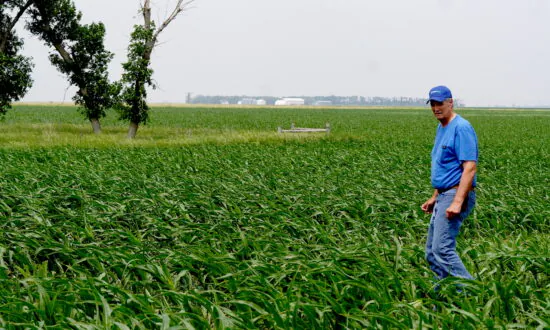 IN-DEPTH: South Dakota Farmers Band Together Against CO2 Pipeline Project