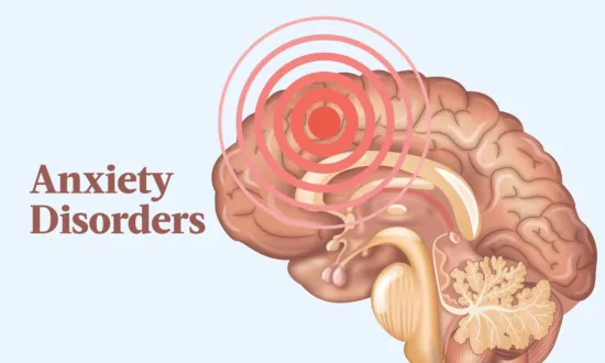 The Essential Guide to Anxiety Disorders: Symptoms, Causes, Treatments, and Natural Approaches