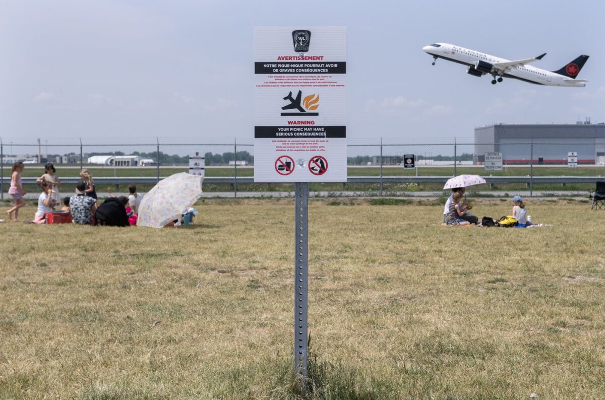 NextImg:Picnics at Montreal's Unique Plane-Spotting Park Risk Bird Strikes: Airport