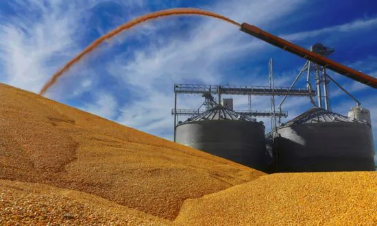 Bunge to Buy Viterra in $18 Billion Deal That Would Create an Agricultural Powerhouse