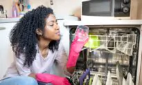 7 Easy-to-Fix Reasons Your Dishwasher Is Not Cleaning Like It Should
