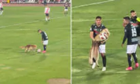 VIDEO: Adorable Fluffy Dog Interrupts a Soccer Game, Steals the Ball, and Refuses to Let It Go