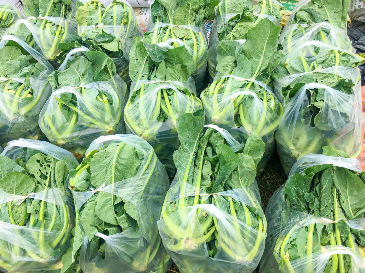 NextImg:Meet Your New Gene-Edited Salad