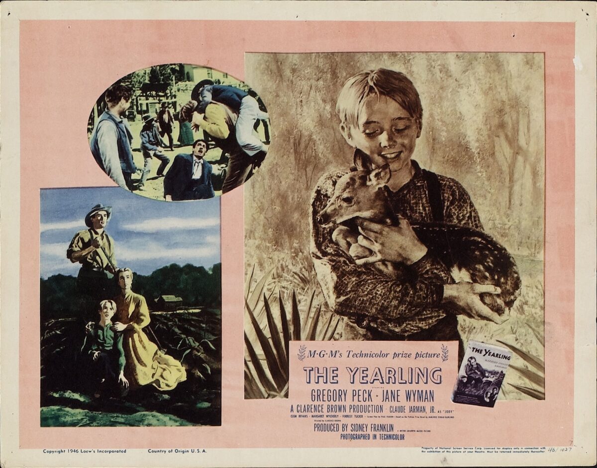 ‘The Yearling’: Growing Up Is About Facing Your Fears
