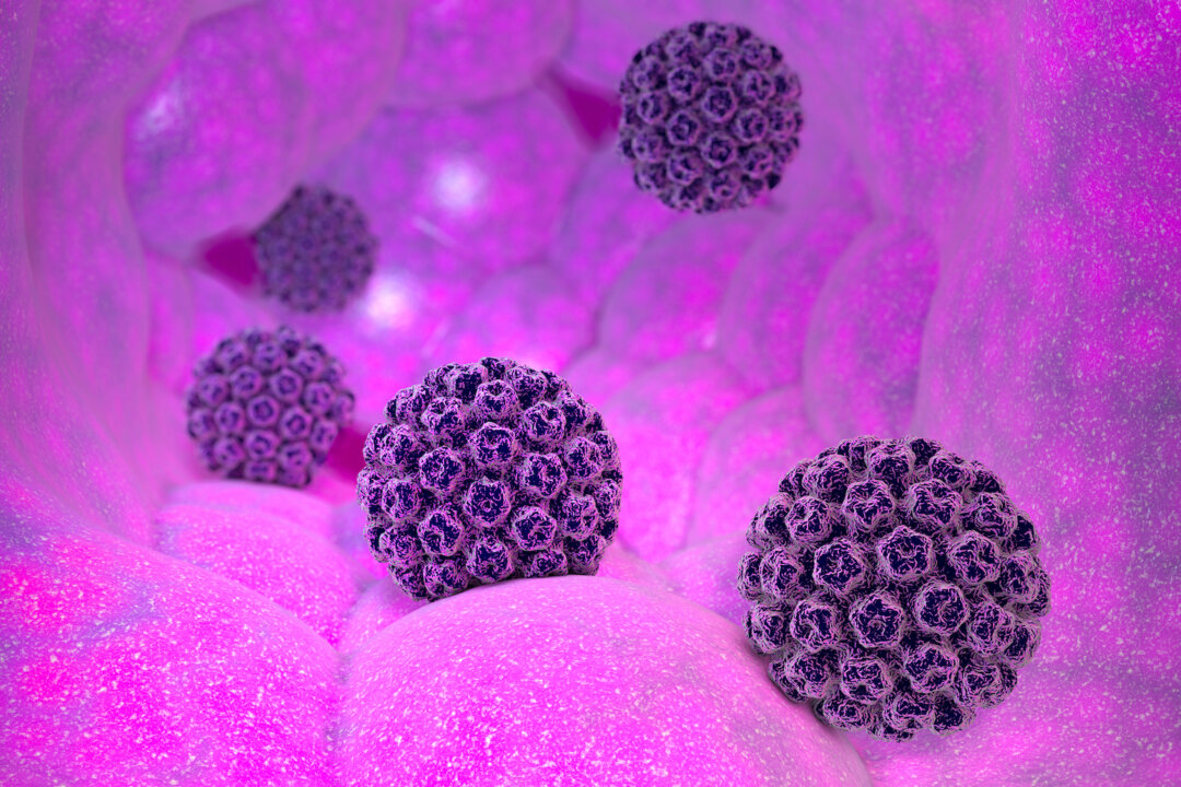 HPV is the most common sexually transmitted infection globally. (Naeblys/Shutterstock)