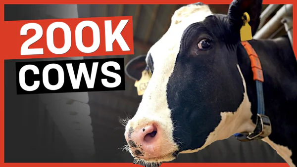 Government Plan to Kill 200,000 Cows to ‘Fight Climate Change’ | Facts Matter