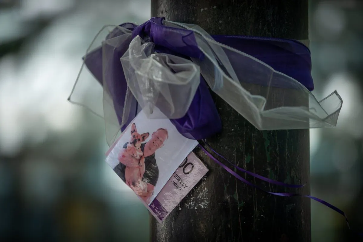 A photograph of a person who died due to an illicit drug overdose is tied to a tree with a purple ribbon by members of Moms Stop Aug. 16, 2022. (The Canadian Press/Darryl Dyck)
