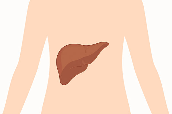 NextImg:How to Assess, Enhance, and Maintain Healthy Liver Function