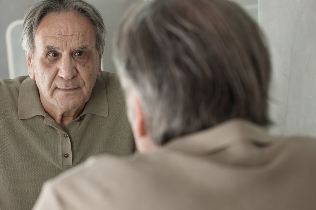 (sebra/Shutterstock)