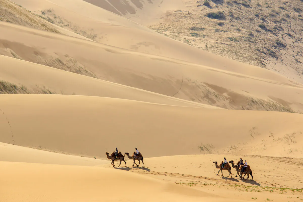 Tourists on camels in the dunes of the Gobi Desert, Mongolia. TimeOut.com put Mongolia at the top of their list of underrated, lesser-known travel destinations. (Dreamstime/TNS)