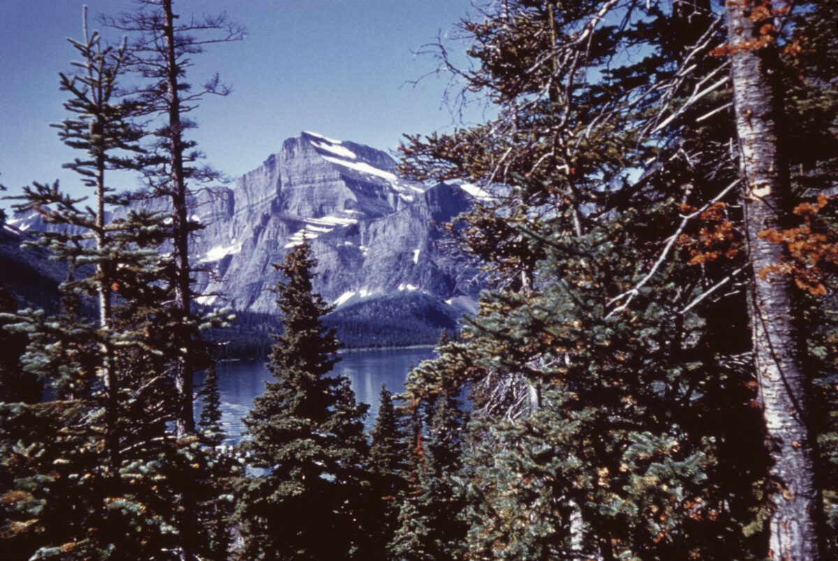 ​​Montana Youth Suing for a ‘Right’ to a Stable Climate