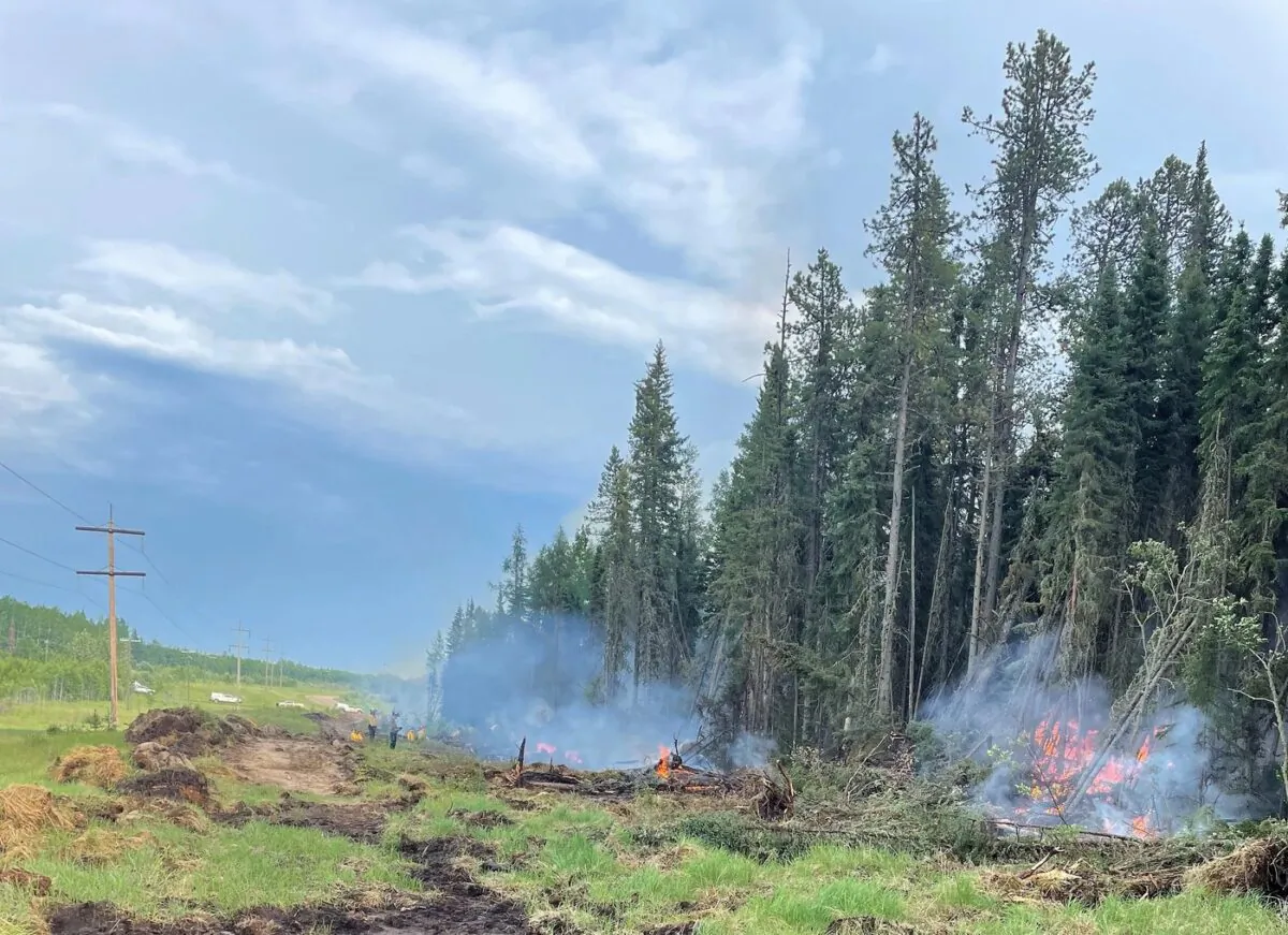 Crews work on a controlled burn near Edson, Alta., on June 13, 2023. (The Canadian Press/HO-Government of Alberta Fire Service)
