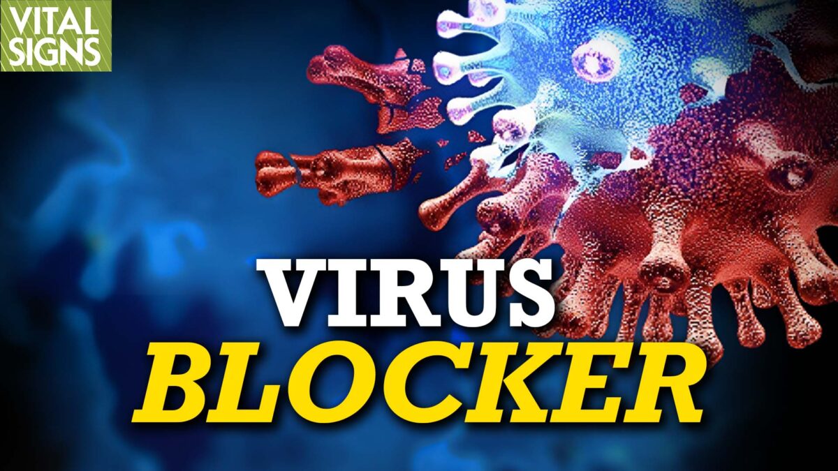 Quercetin works like hydroxychloroquine to stop viruses, but more safely?