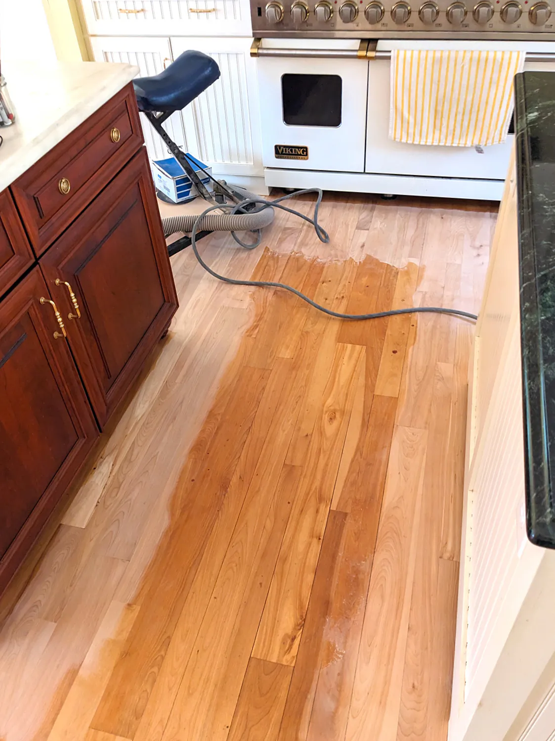 The old finish on this hardwood floor has been removed near the cabinets. The mind-numbing work of scraping up against the edges remains to be done. A tremendous amount of skill is required to produce a satin-smooth finish. (Tim Carter/Tribune Content Agency/TNS)