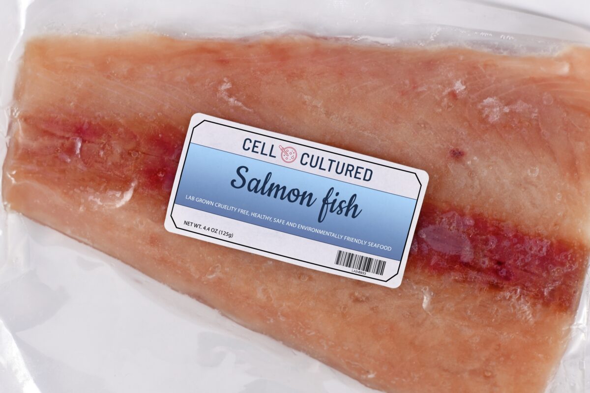 NextImg:From Lab to Plate: The Future of Cell-Based Seafood