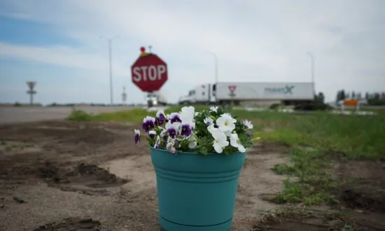 Manitoba Conducts Internal Review of Safety, Investigators Interview Survivors of Deadly Bus Crash