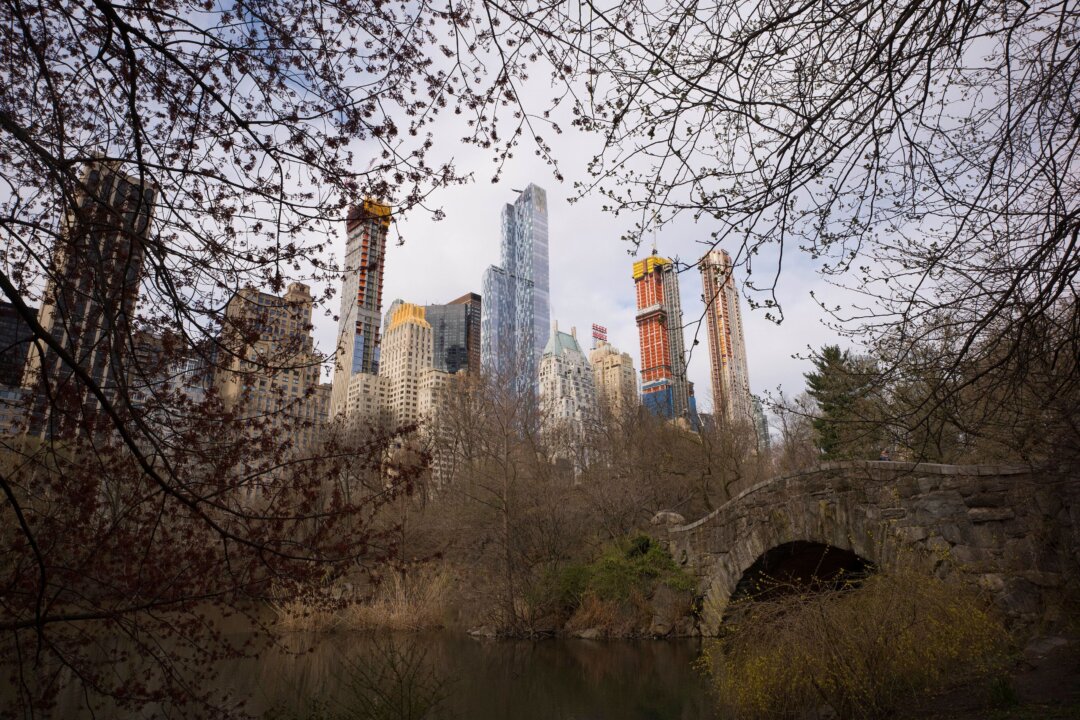 Pit Bull Put to Death After Being Stabbed by Man in Central Park