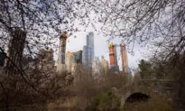 Pit Bull Put to Death After Being Stabbed by Man in Central Park