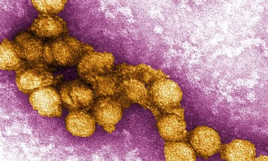 CDC Issues Advisory for West Nile Virus in US Ahead of July 4 Holiday