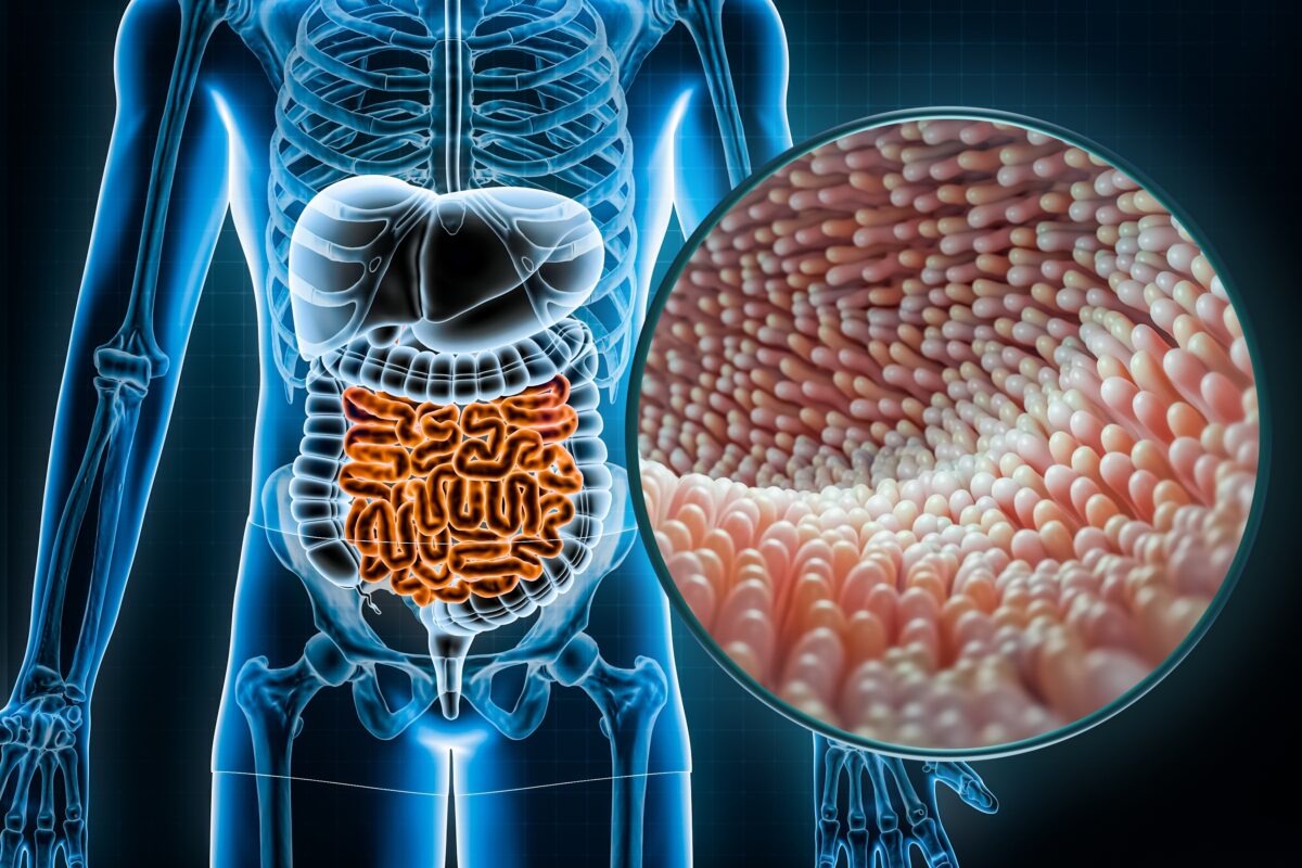 NextImg:How Can You Cultivate a Gut Microbiome to Live to Be 100?