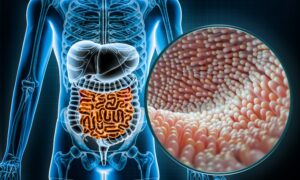 The Gut Microbiome That Helps You Live to Be 100